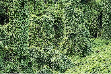 官方证实：《合金装备3RE》Snake剧情和配音与原版相同